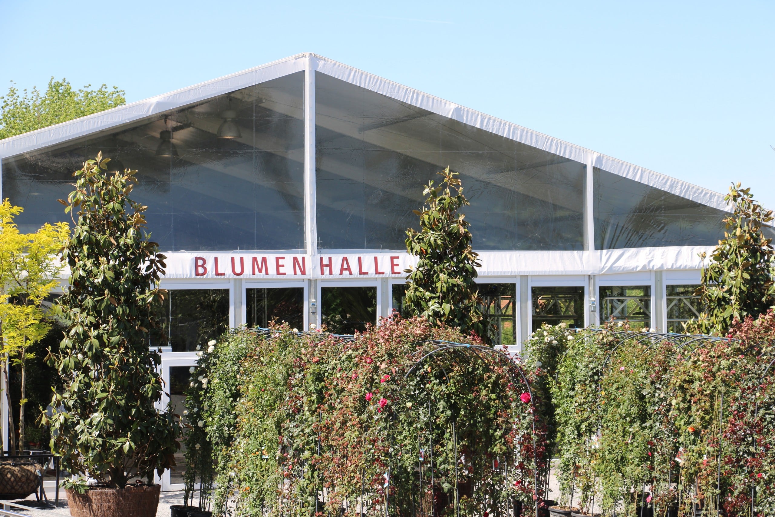 In der temporären Blumenhalle sind von April bis Oktober 2024 viele prächtige Blüten zu bewundern. Copyright: Landesgartenschau 2023 gGmbH