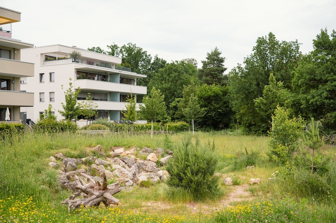 Sanierung Annette-Kolb-Anlage Nürnberg, adlerolesch, Foto: © Laura Loewel