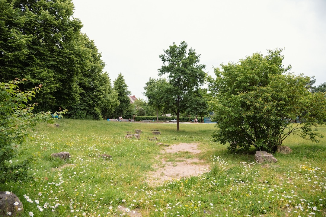 Sanierung Annette-Kolb-Anlage Nürnberg, adlerolesch, Foto: © Laura Loewel