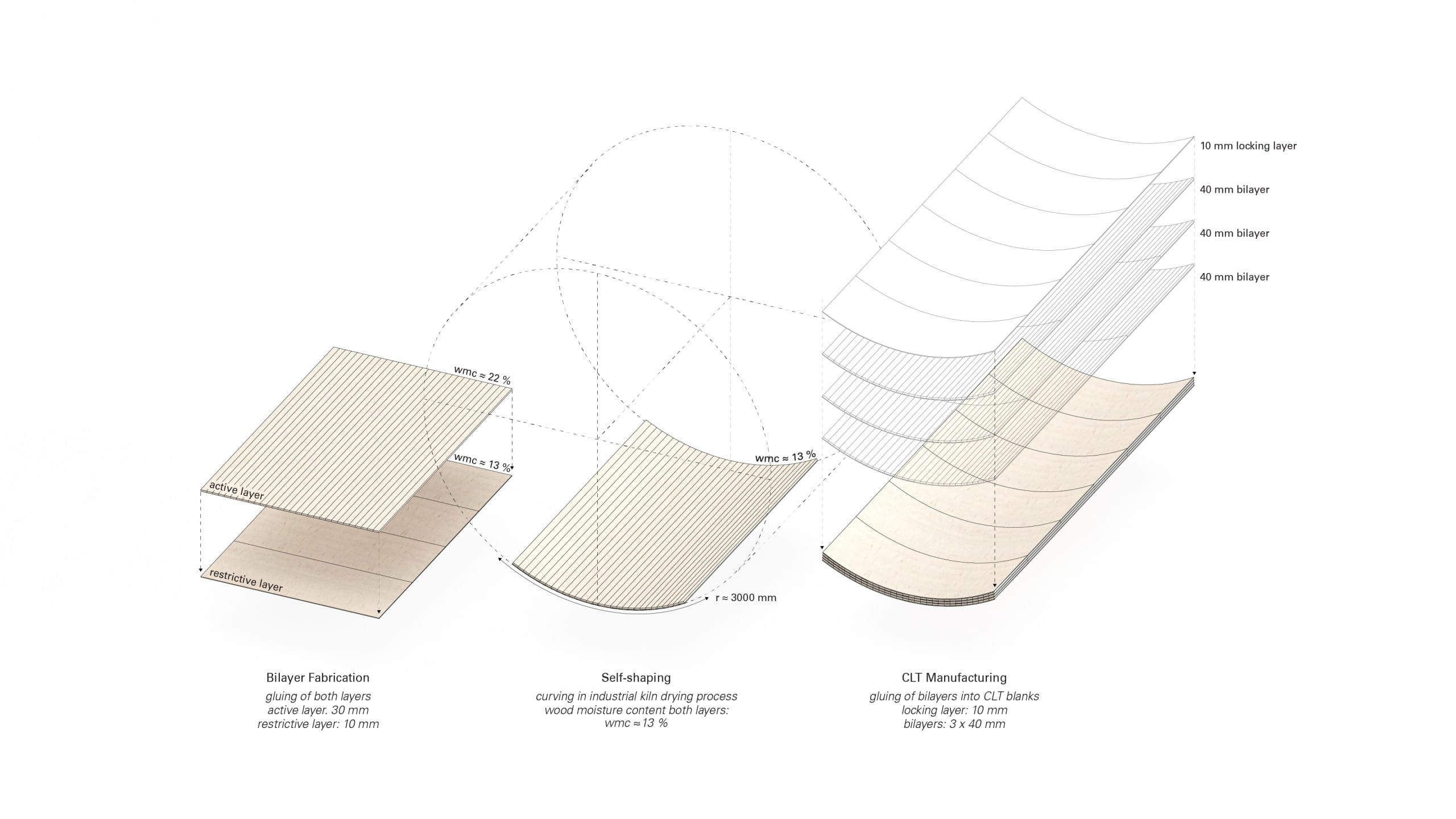 Aufbau der Holzelemente. ©ICD/ITKE/IntCDC University of Stuttgart