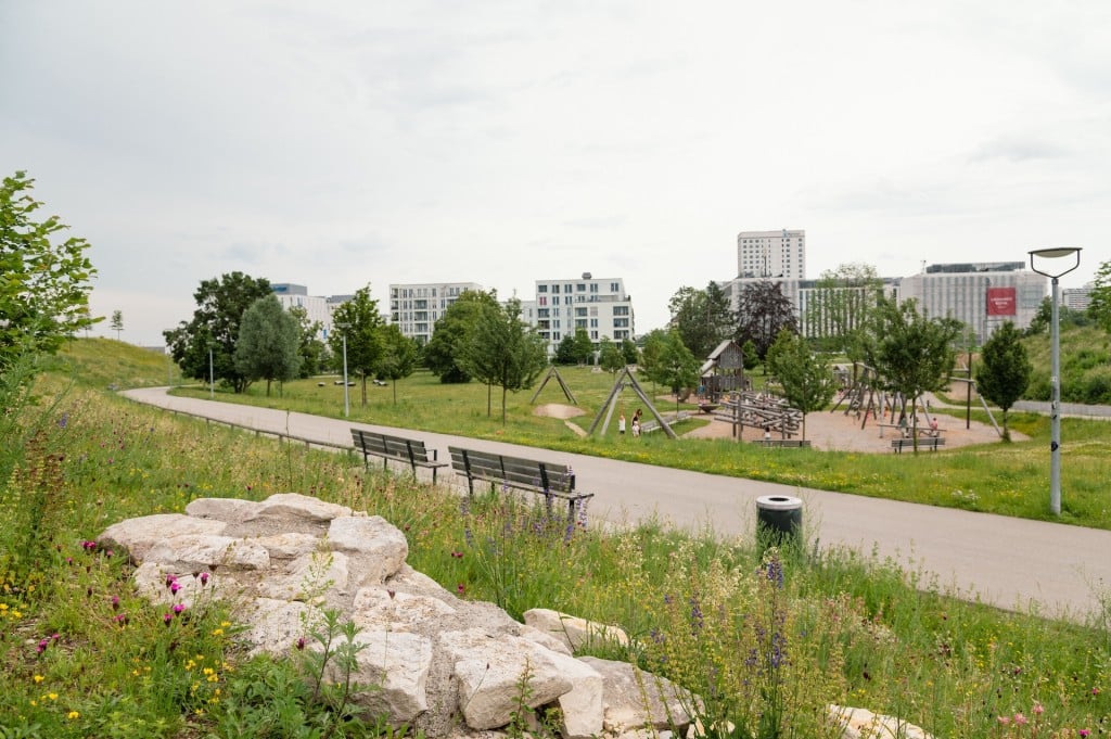 Ein städtischer Park, im Vordergrund Steine in einer hoch bewachsenen Wiese, dahinter zwei Bänke an einem Weg, ein Spielplatz sowie Hochhäuser im Hintergrund. Der Bayerische Landschaftsarchitektur-Preis 2024 geht an den Oberwiesenfeldpark im Münchner Norden vom Büro mahl gebhard konzepte. Foto: © Laura Loewel