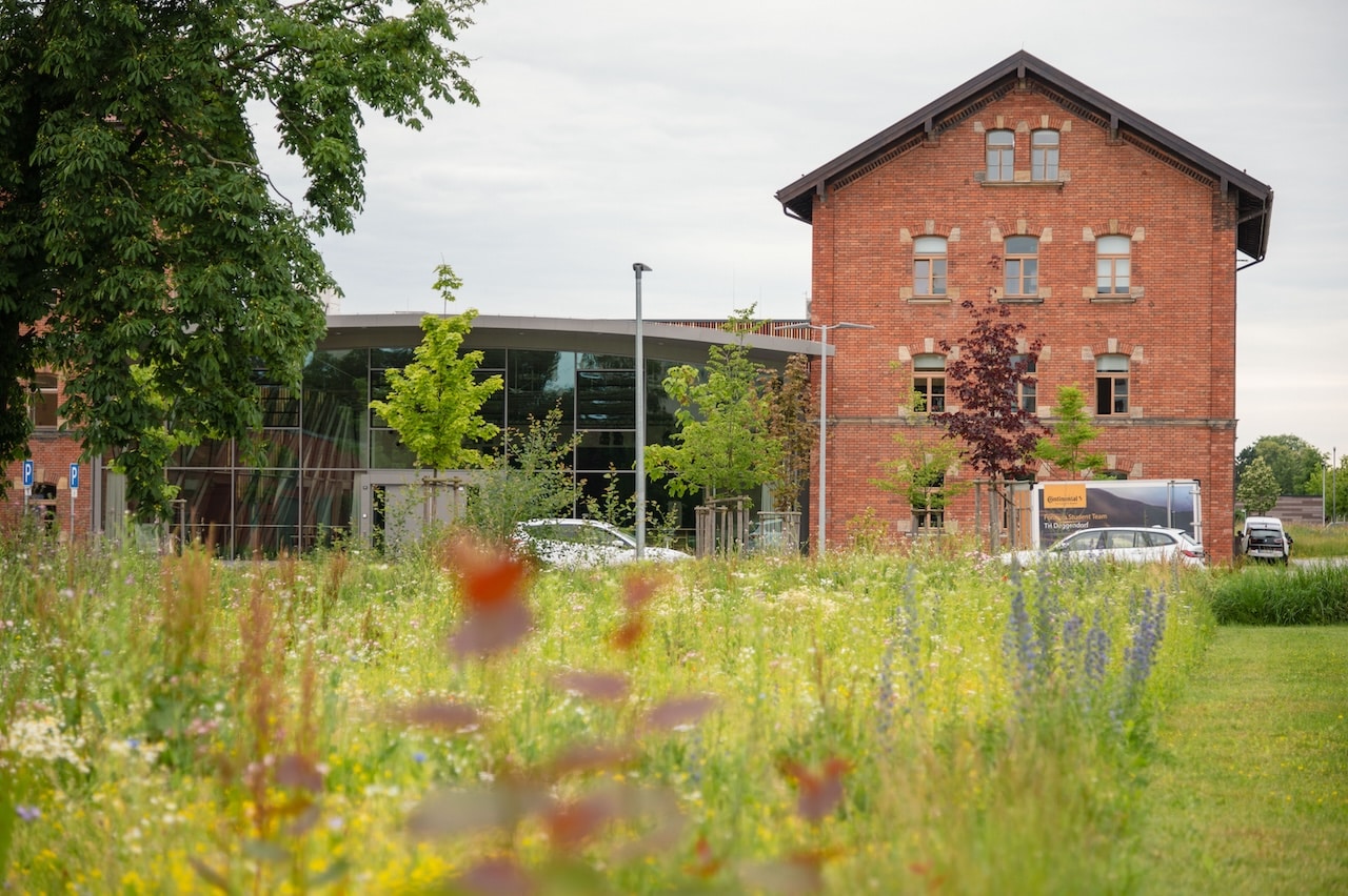 Nordpark III Plattling, BEM Burkhardt | Engelmayer | Mendel Landschaftsarchitekten Stadtplaner, Kategorie „Pflanzverwendung und Biodiversität“ Bayerischer Landschaftsarchitektur-Preis 2024, Foto: © Laura Loewel