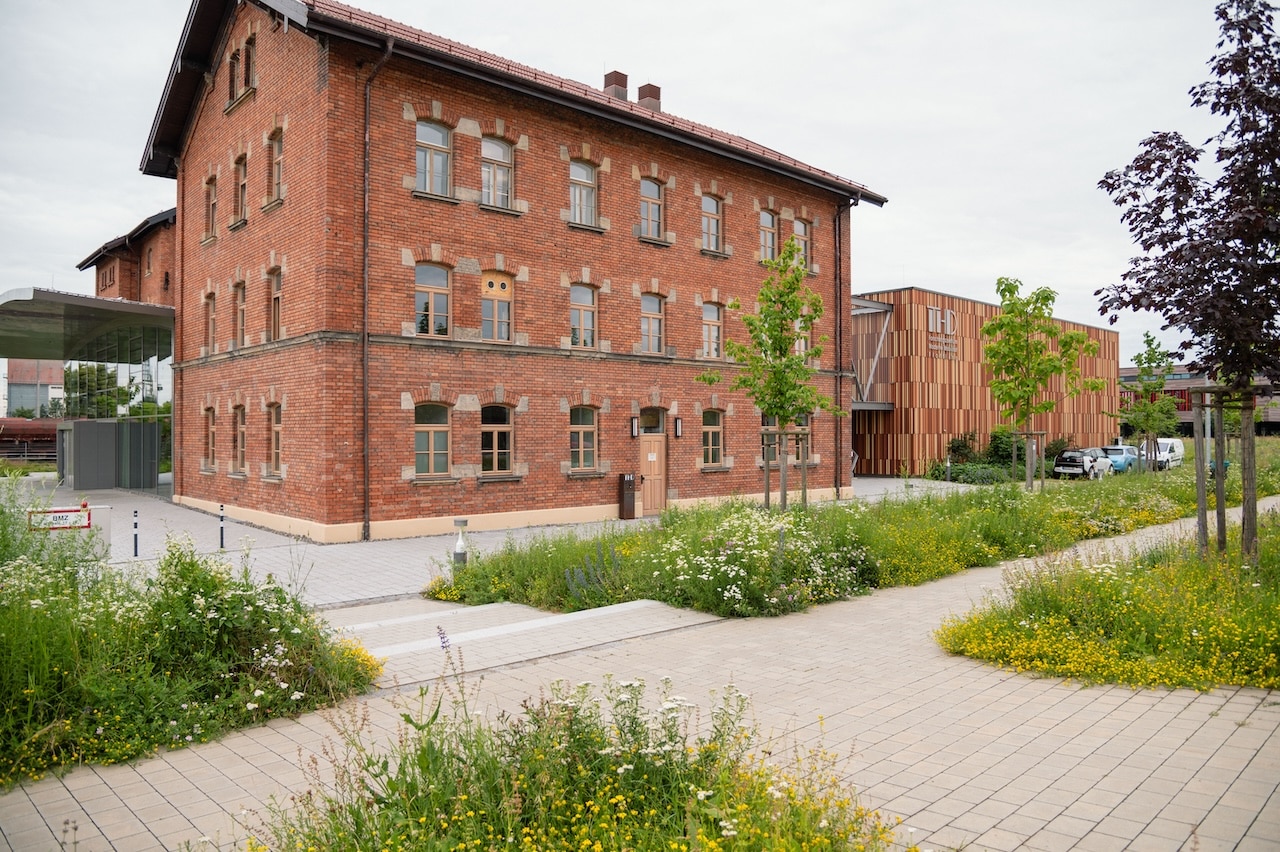 Nordpark III Plattling, BEM Burkhardt | Engelmayer | Mendel Landschaftsarchitekten Stadtplaner, Kategorie „Pflanzverwendung und Biodiversität“ Bayerischer Landschaftsarchitektur-Preis 2024, Foto: © Laura Loewel