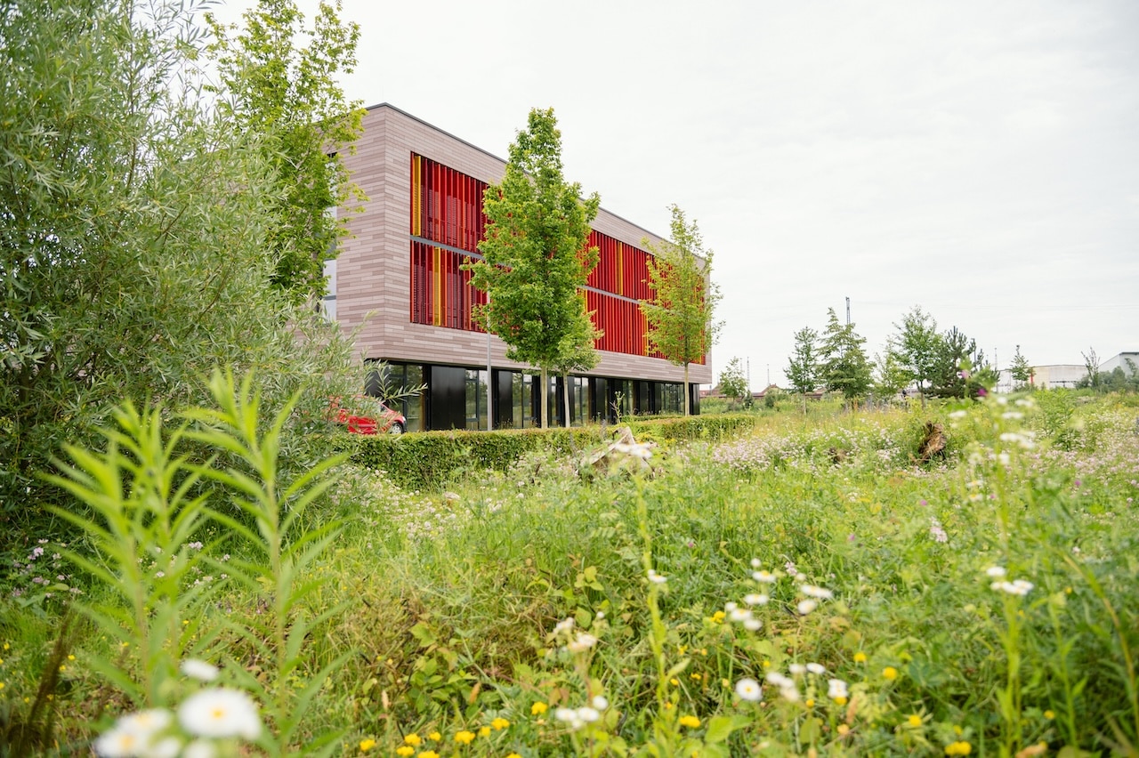 Nordpark III Plattling, BEM Burkhardt | Engelmayer | Mendel Landschaftsarchitekten Stadtplaner, Kategorie „Pflanzverwendung und Biodiversität“ Bayerischer Landschaftsarchitektur-Preis 2024, Foto: © Laura Loewel