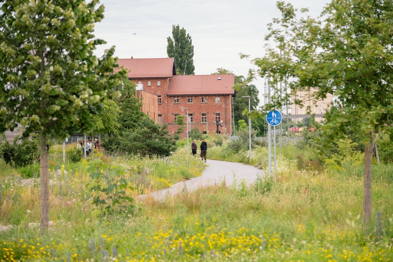 Nordpark III Plattling, BEM Burkhardt | Engelmayer | Mendel Landschaftsarchitekten Stadtplaner, Kategorie „Pflanzverwendung und Biodiversität“ Bayerischer Landschaftsarchitektur-Preis 2024, Foto: © Laura Loewel