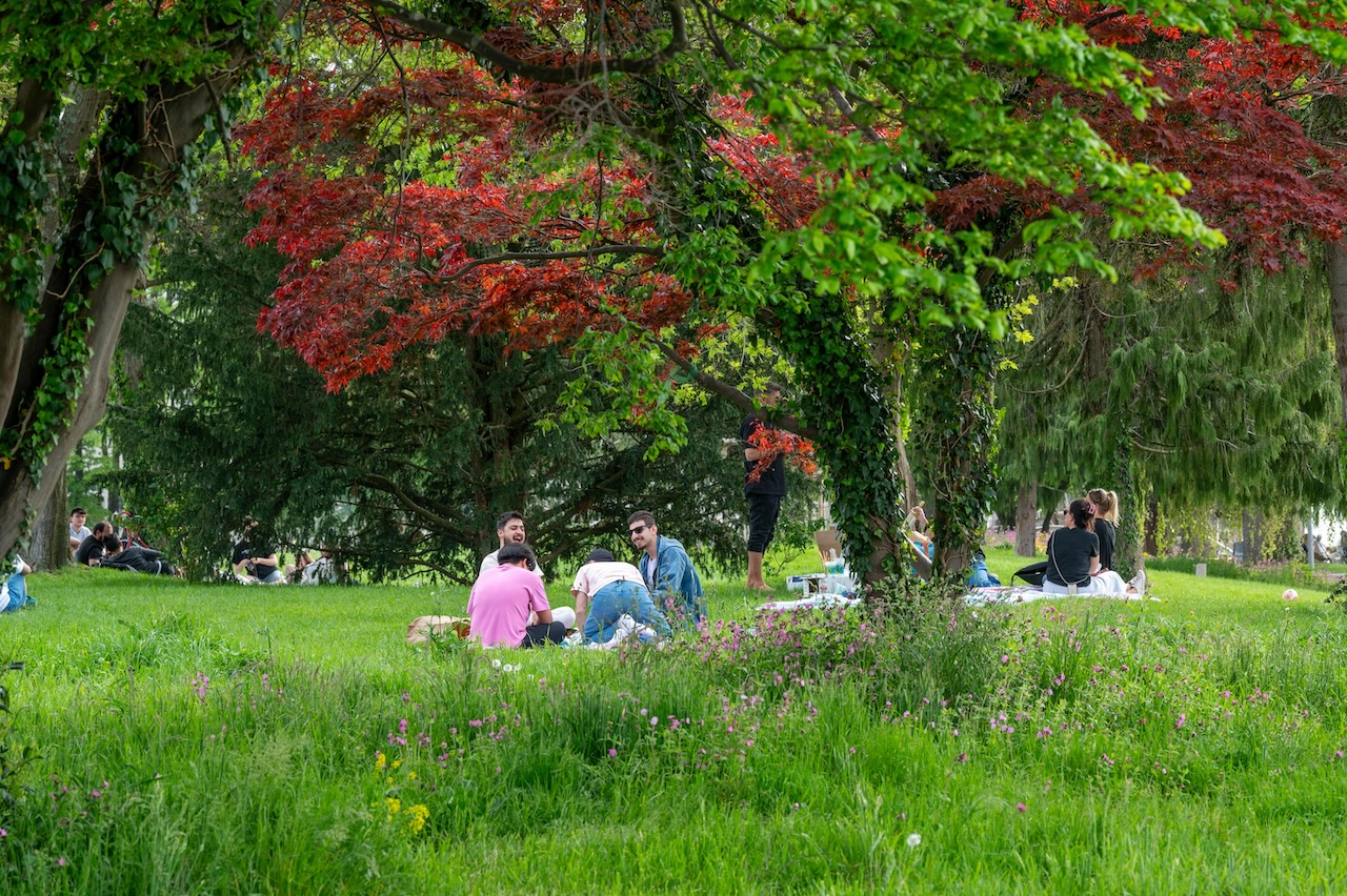 Bürgerpark Lindau, Atelier Loidl, Auszeichnung Kategorie „Freiräume für Menschen“ & Publikumspreis Bayerischer Landschaftsarchitektur-Preis 2024, Foto: © Laura Loewel